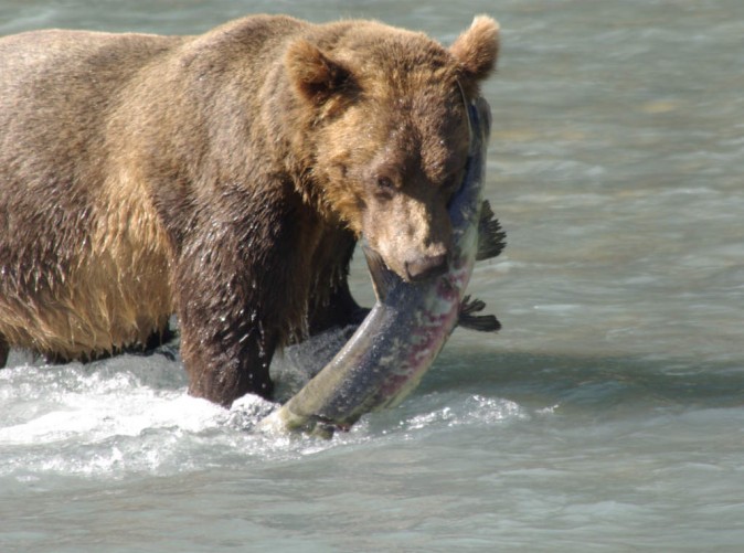 050_Kanada_Erlebnis-Natur_Schoene-Aussichten-Touristik_Canada Dream Tours1